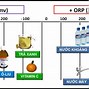 Chỉ Số Chống Oxy Hóa Là Gì