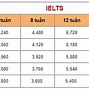 Trường Anh Ngữ Á Mỹ Gia Lai Ở Đâu Bán