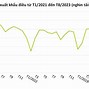 Xuất Khẩu Hạt Điều Sang Eu 2023