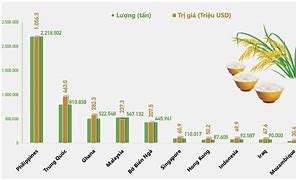 Xuất Khẩu Lúa Gạo Của Việt Nam